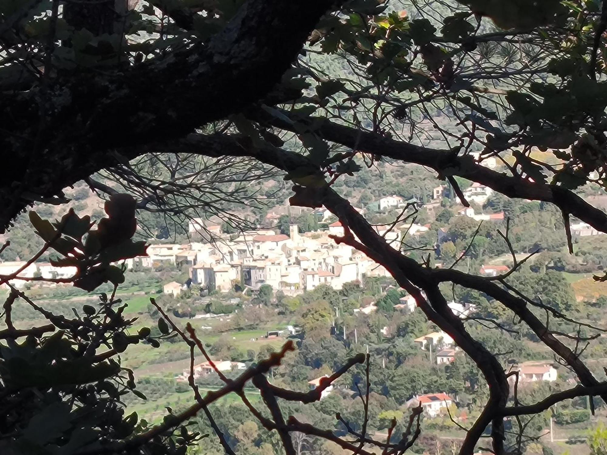 A L'Oree Des Oliviers Venterol  Exterior foto